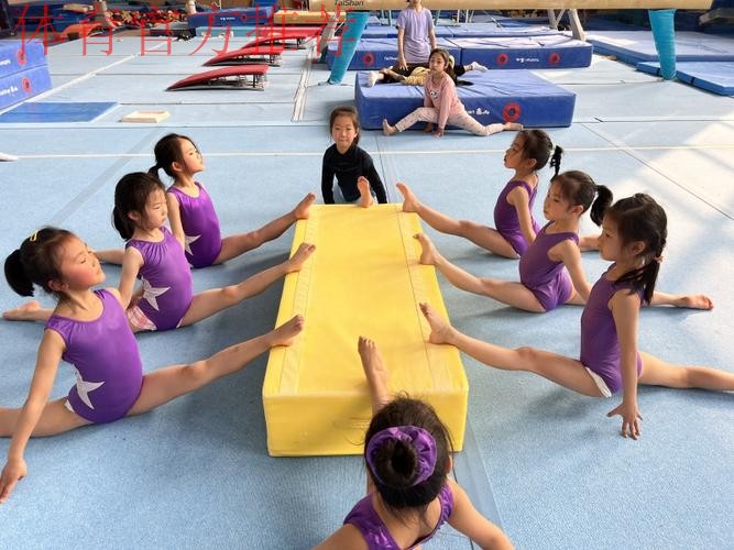 “金科试点”探索体操育人 ——走进郑州市金水区艺术小学体操训练基地(下 “金科试点”探索体操育人 ——走进郑州市金水区艺术小学体操训练基地(下